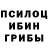 Псилоцибиновые грибы Psilocybine cubensis Akshay Singhania