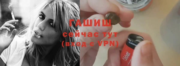 гидра Медвежьегорск