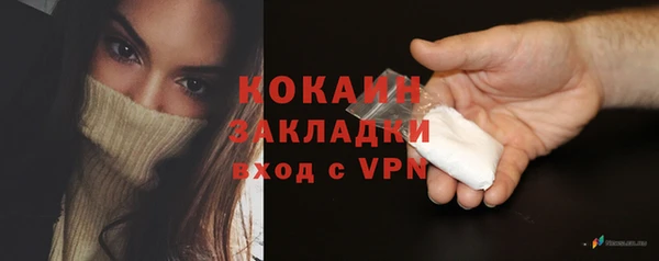 гидра Медвежьегорск
