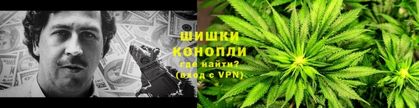 тгк Мегион