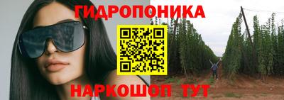 дмт Кимры