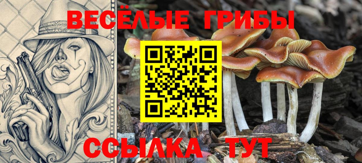 Троицк  Псилоцибиновые грибы ЛСД  Вход с VPN  Псилоцибиновые грибы ЛСД 