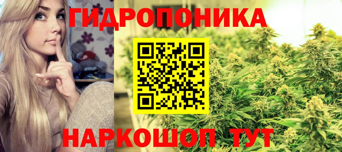 Шишки марихуана планчик Троицк